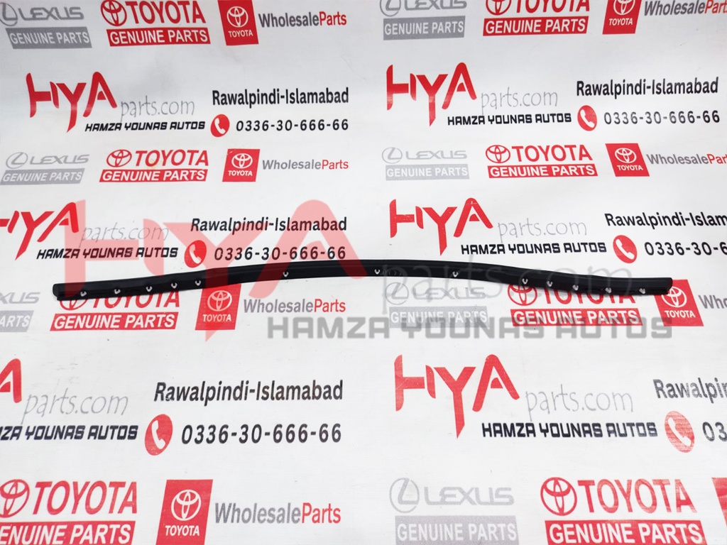 PROTECTOR, RADIATOR GRILLE