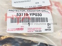 PROTECTOR, RADIATOR GRILLE