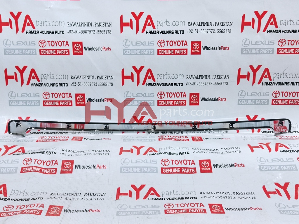 75770-60010 [HOOD MOULDINGS PRADO 2010]