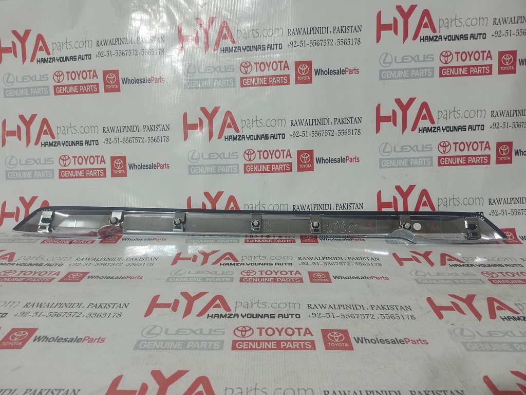 GARNISH SUB-ASSY, BACK DOOR, OUTSIDE