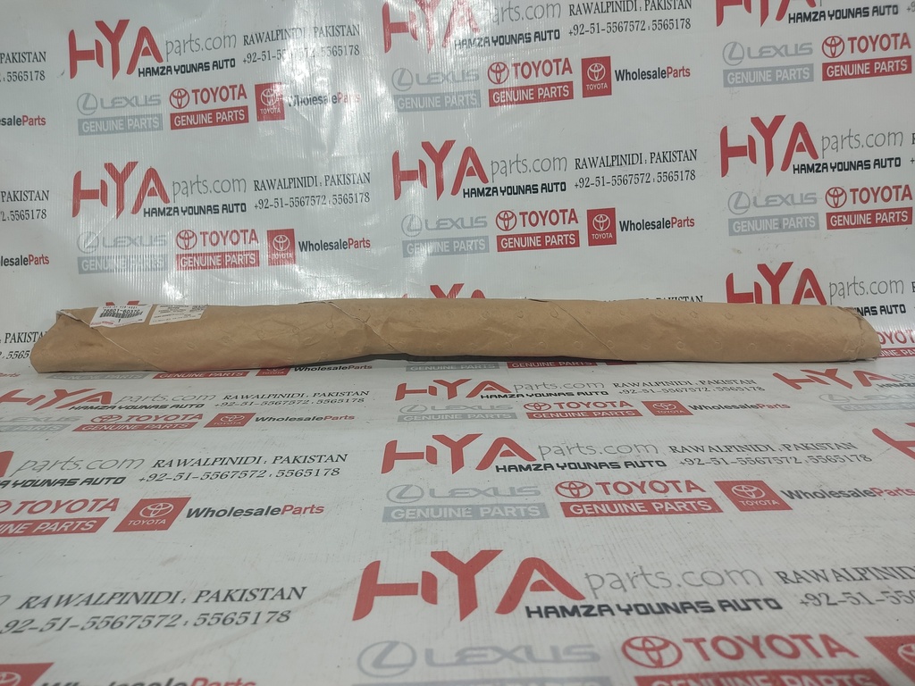 GARNISH SUB-ASSY, BACK DOOR, OUTSIDE