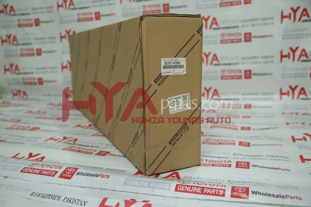 GRILLE, RADIATOR (FRONT SHOW GRILL)