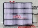 ELEMENT SUB-ASSY, AIR CLEANER FILTER