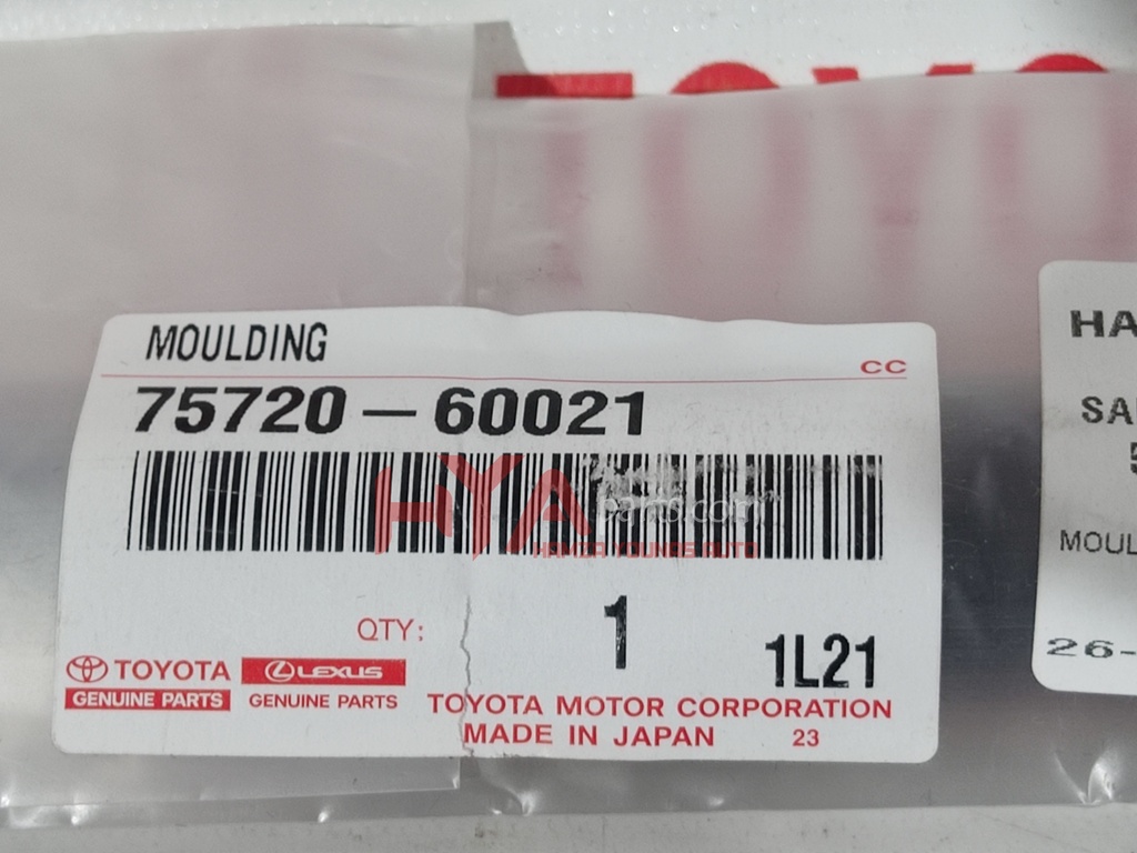 MOULDING ASSY, FRONT DOOR BELT, LH