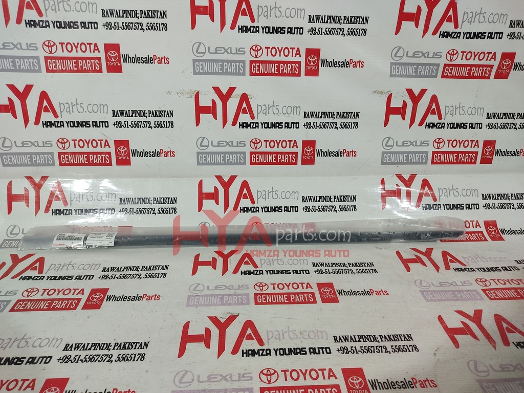 MOULDING ASSY, FRONT DOOR BELT, LH