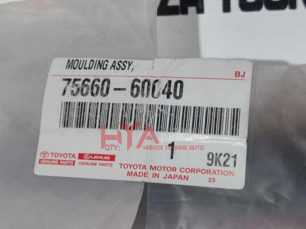 MOULDING, QUARTER BELT, RH