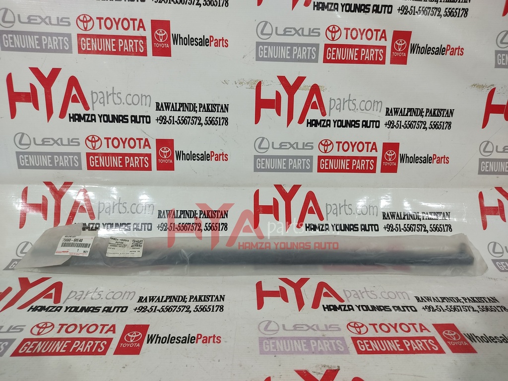 MOULDING, QUARTER BELT, RH