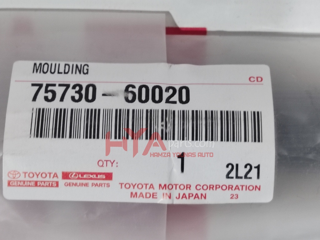 MOULDING ASSY, REAR DOOR BELT, RH