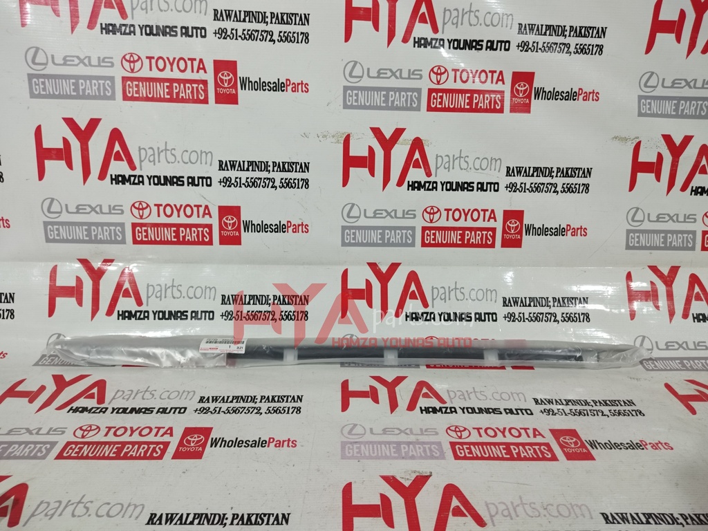 MOULDING ASSY, REAR DOOR BELT, RH