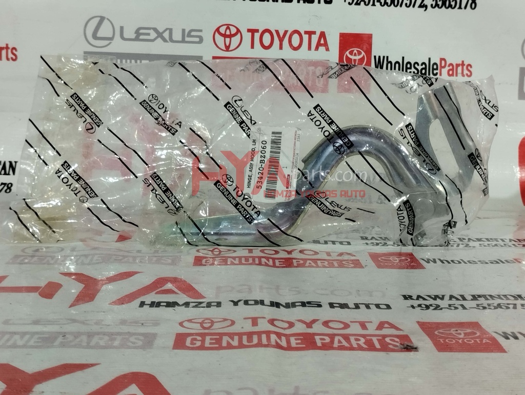 HINGE ASSY, HOOD, LH