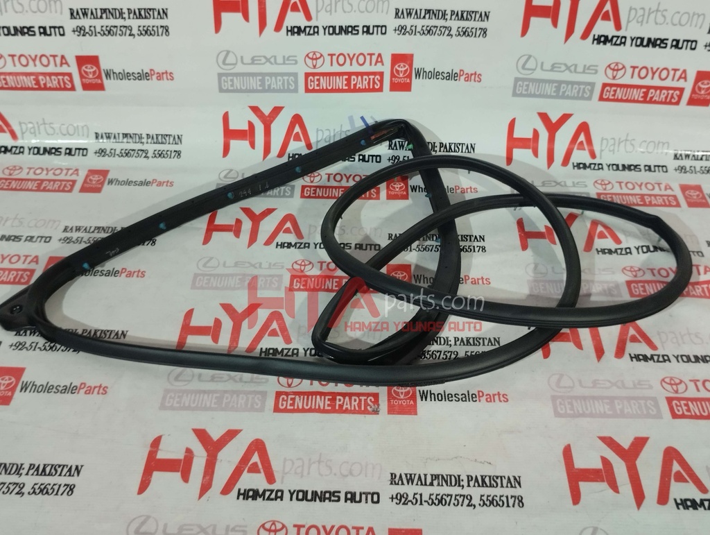 WEATHERSTRIP, REAR DOOR, RH