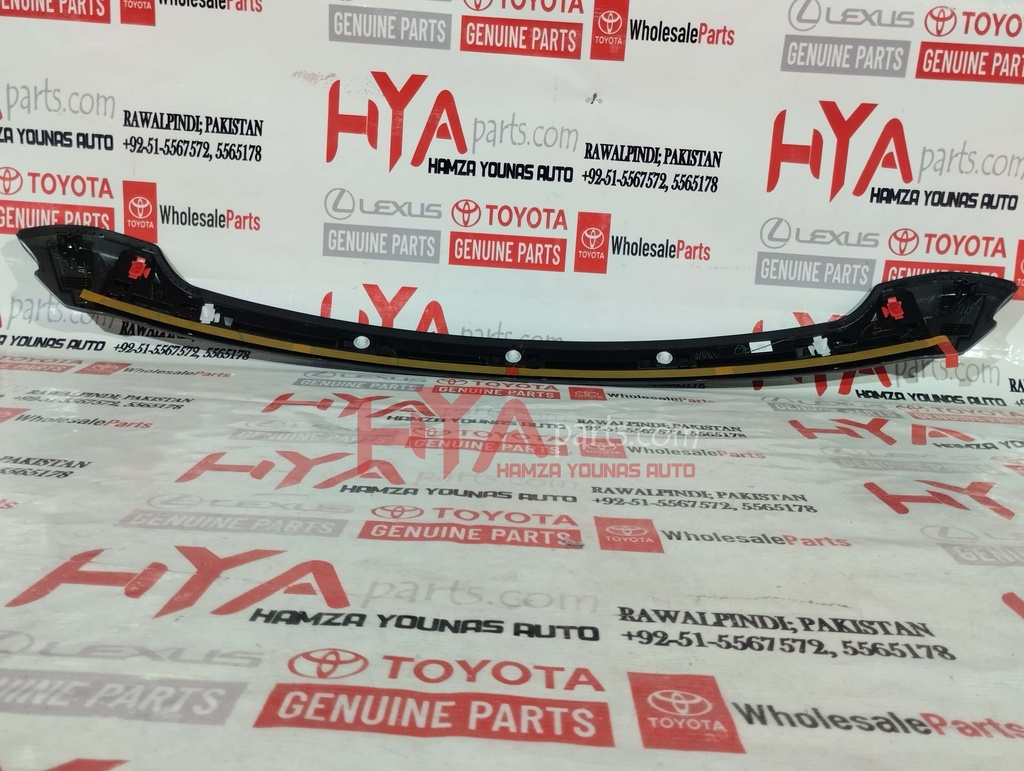 MOULDING ASSY, HOOD, FRONT