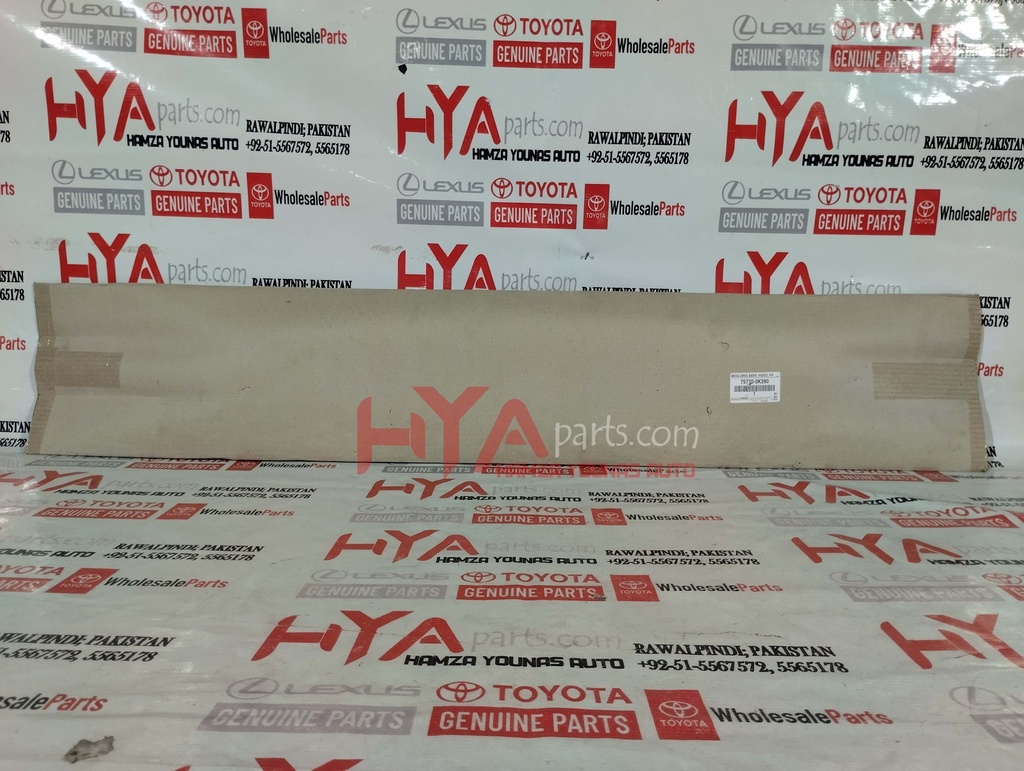 MOULDING ASSY, HOOD, FRONT