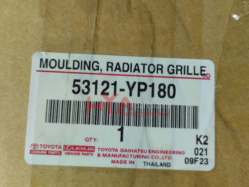 MOULDING, RADIATOR GRILLE