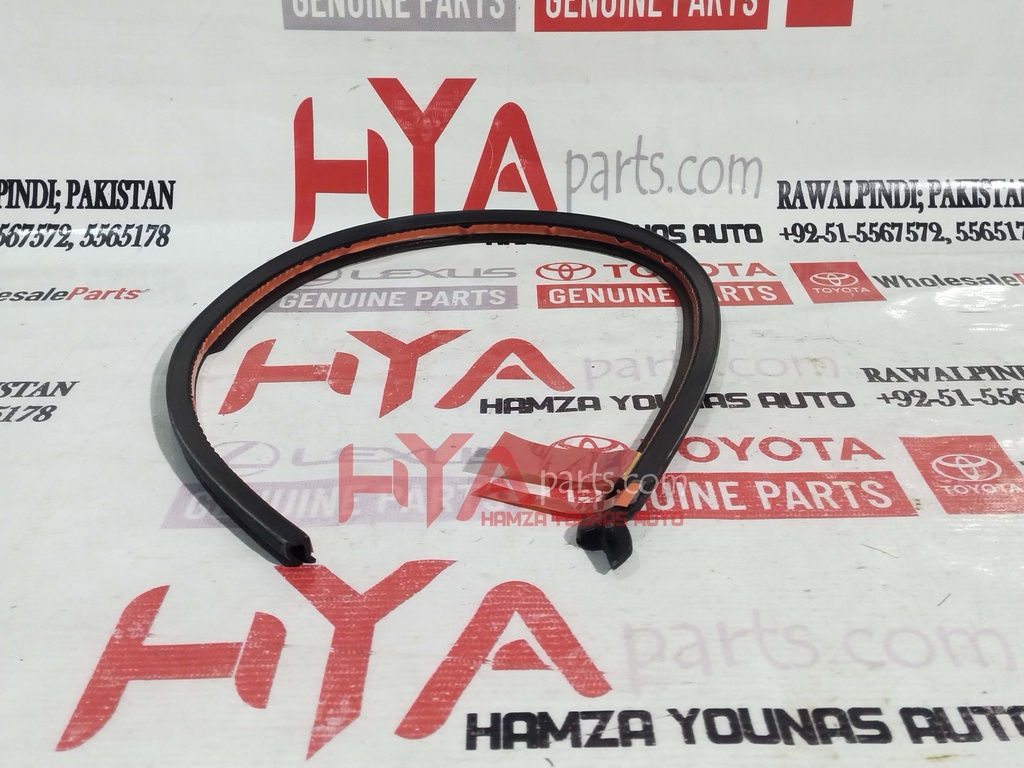 WEATHERSTRIP, REAR DOOR, NO.3 LH