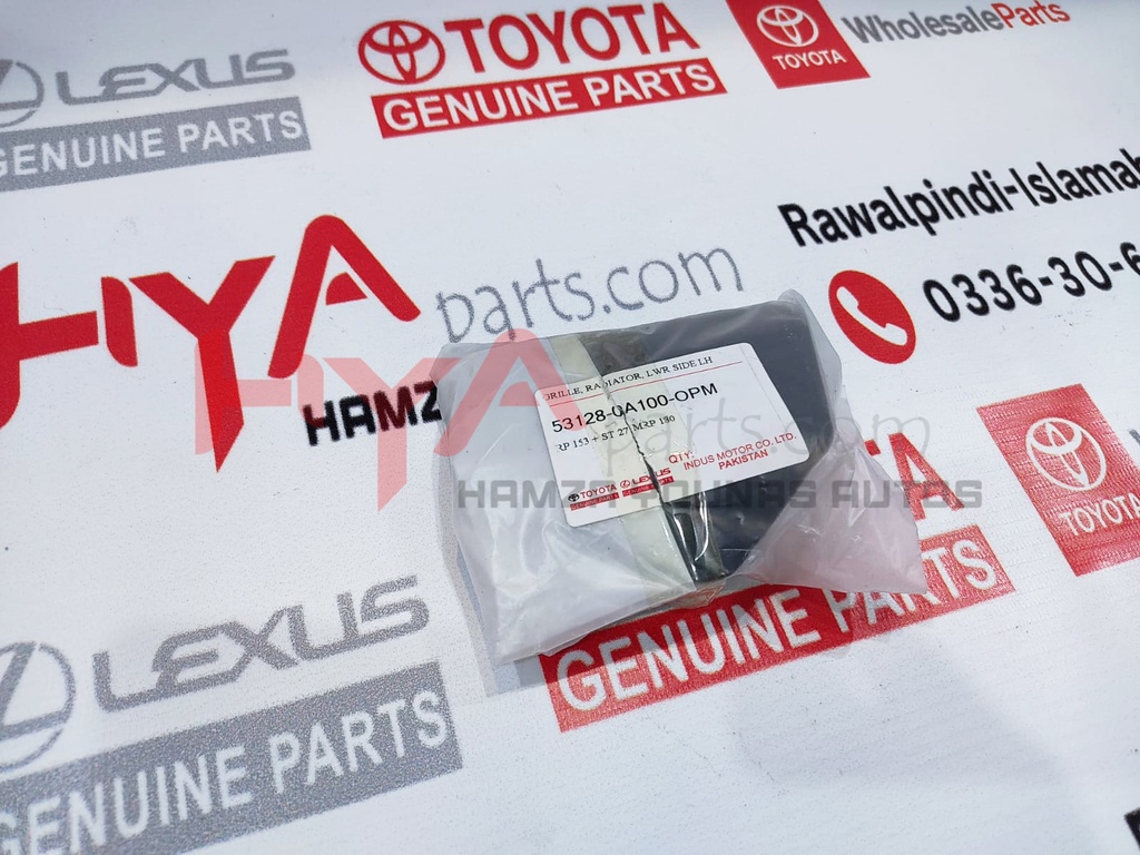 GRILLE, RADIATOR, LWR SIDE LH 