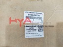 LENS SUB-ASSY, HEADLAMP, RH