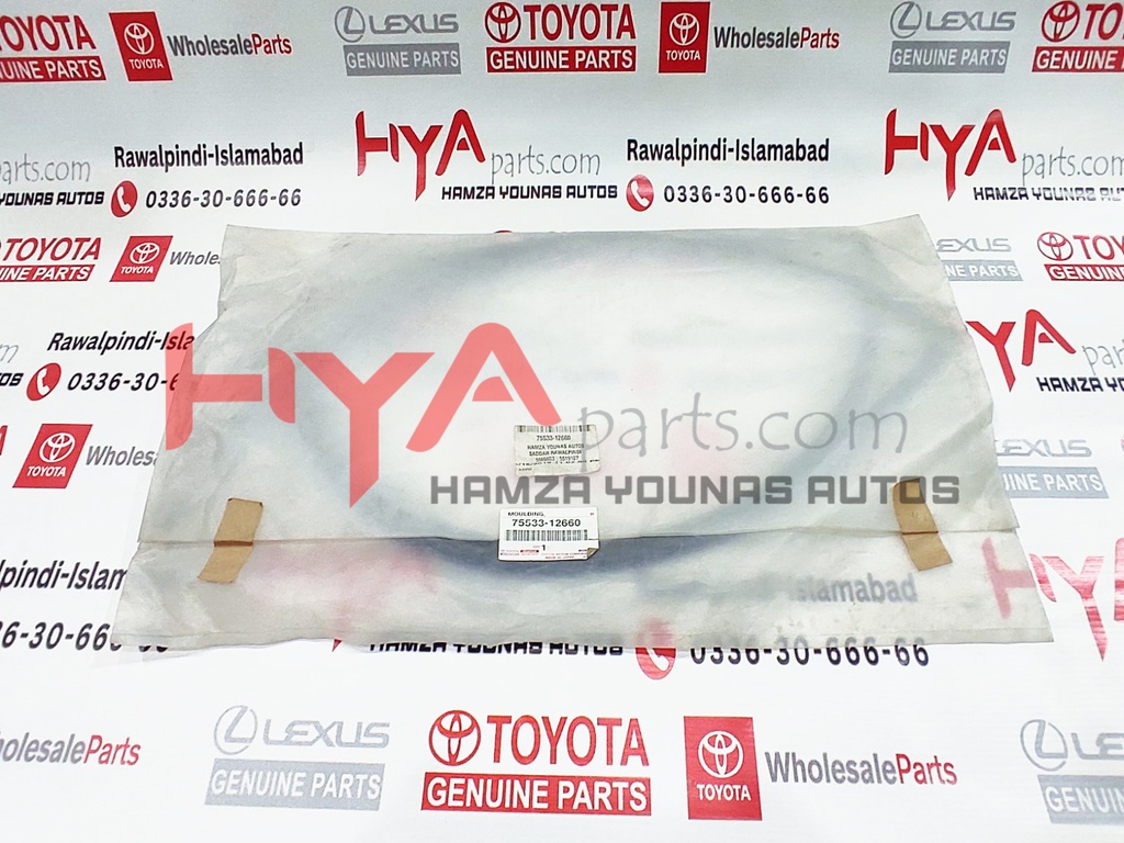 MOULDING, WINDSHIELD