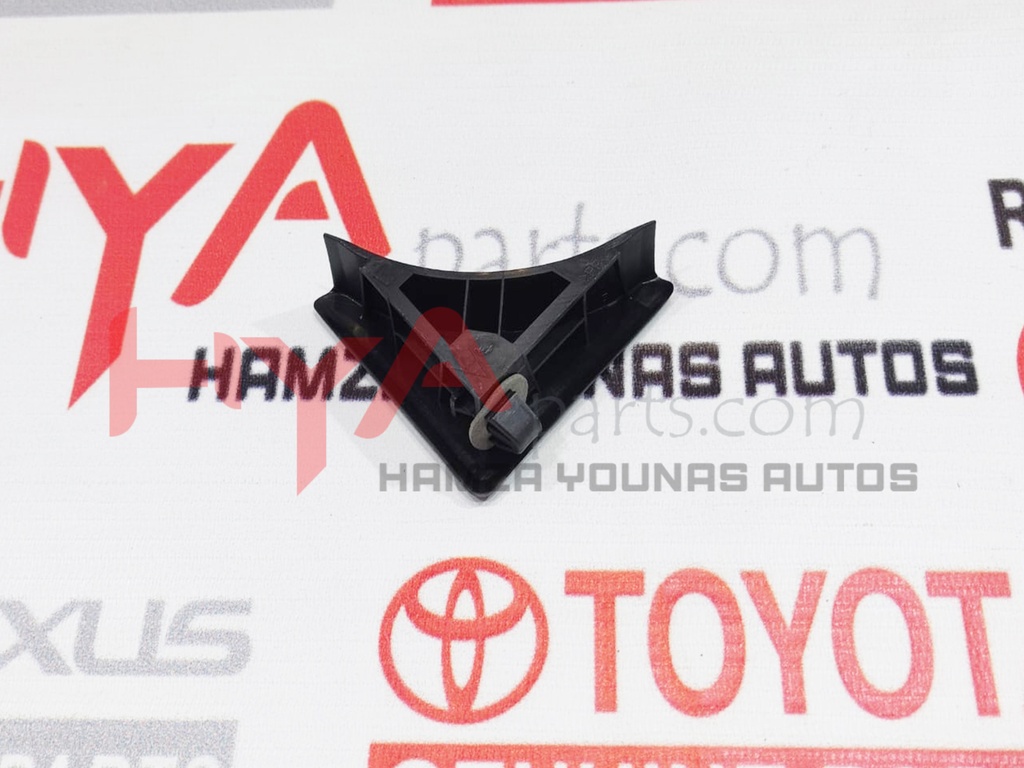 GARNISH, DOOR FRAME, LOWER LH