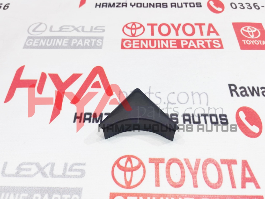 GARNISH, DOOR FRAME, LOWER LH