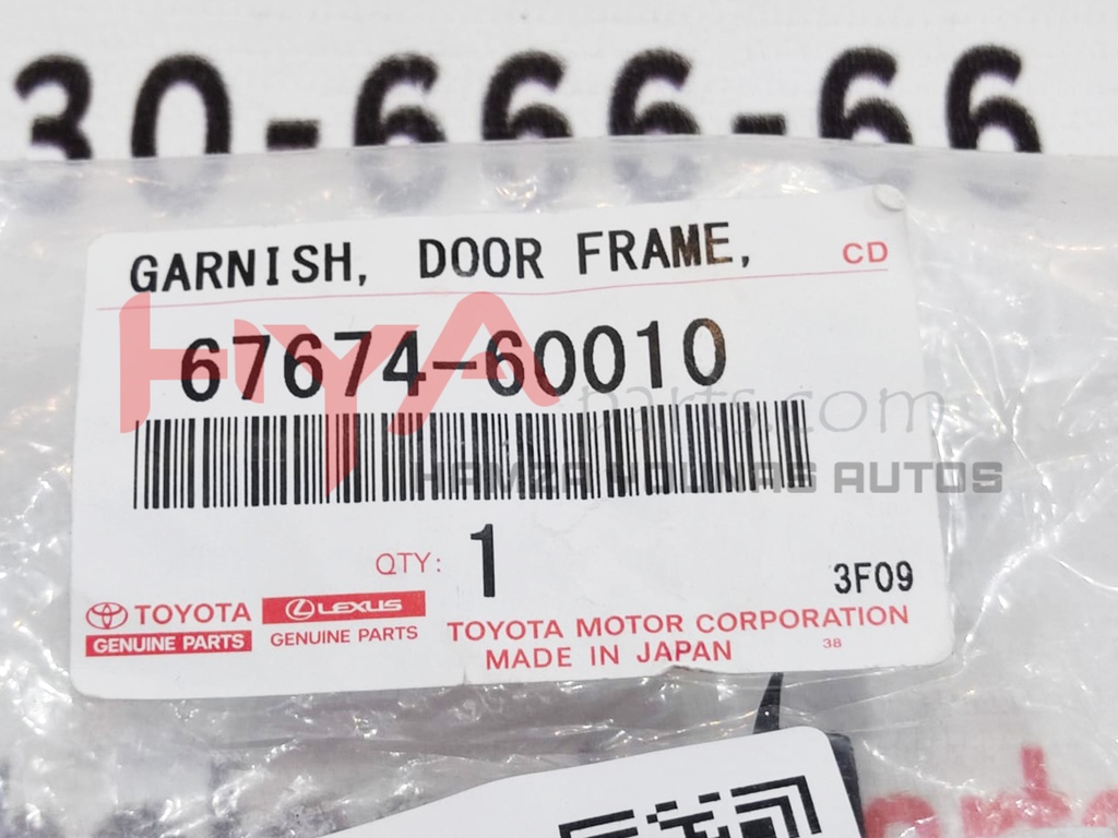 GARNISH, DOOR FRAME, LOWER LH