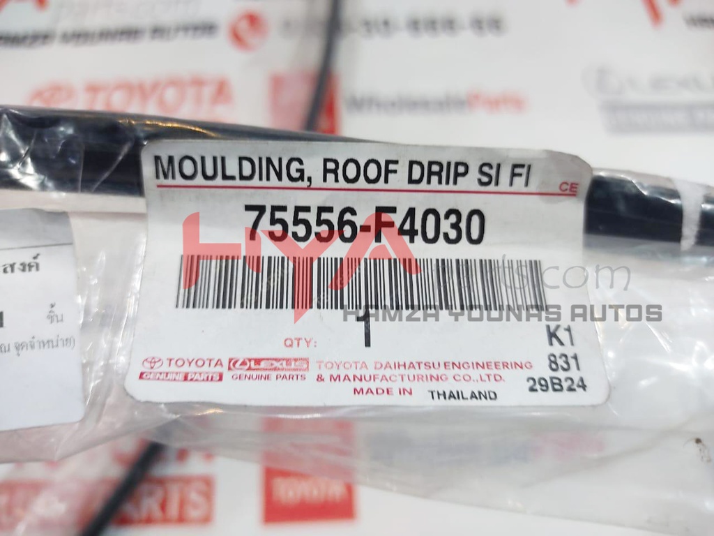 MOULDING, ROOF DRIP SIDE FINISH, CENTER LH