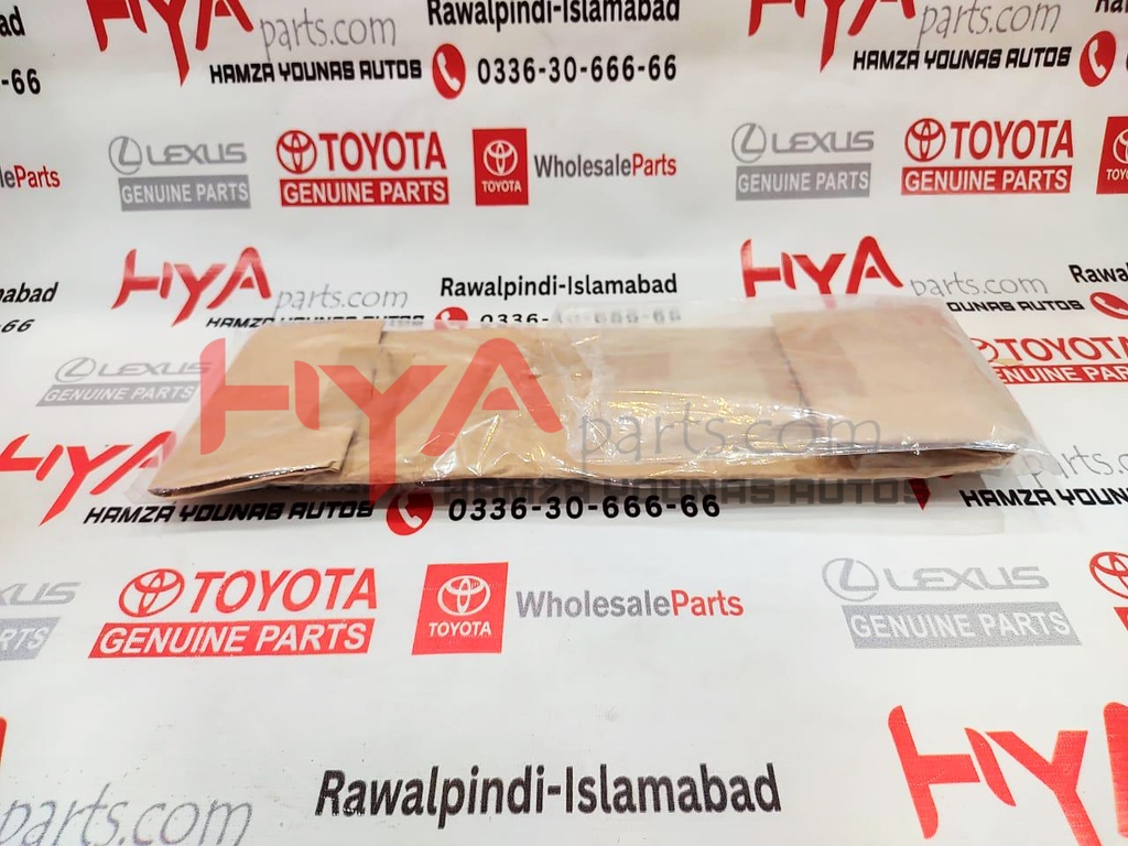 GARNISH SUB-ASSY, BACK DOOR, OUTSIDE LH