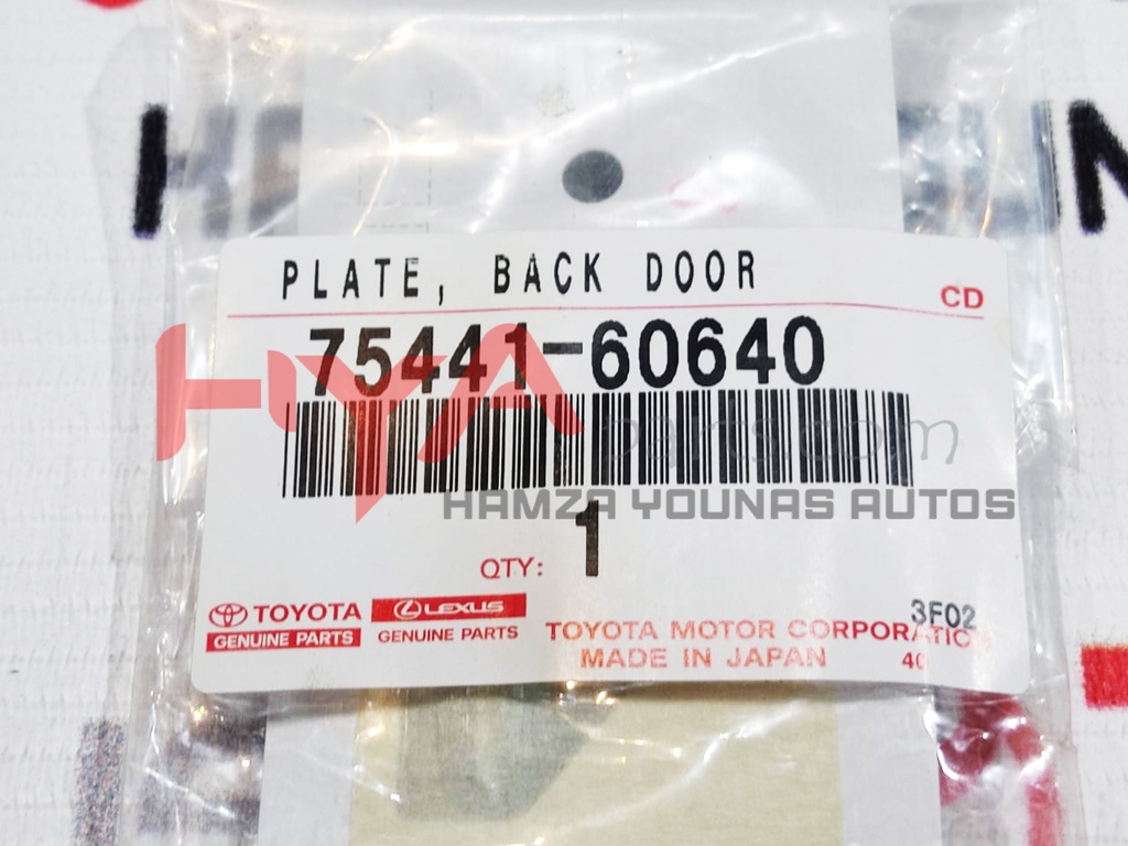 PLATE, BACK DOOR