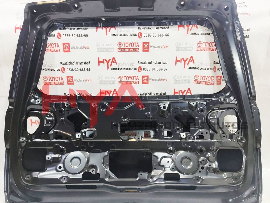 PANEL SUB-ASSY, BACK DOOR