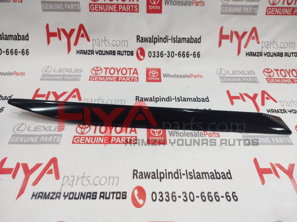 MOULDING, FR DOOR , RH LX 570