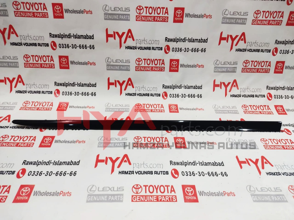 MOULDING, FR DOOR , RH LX 570