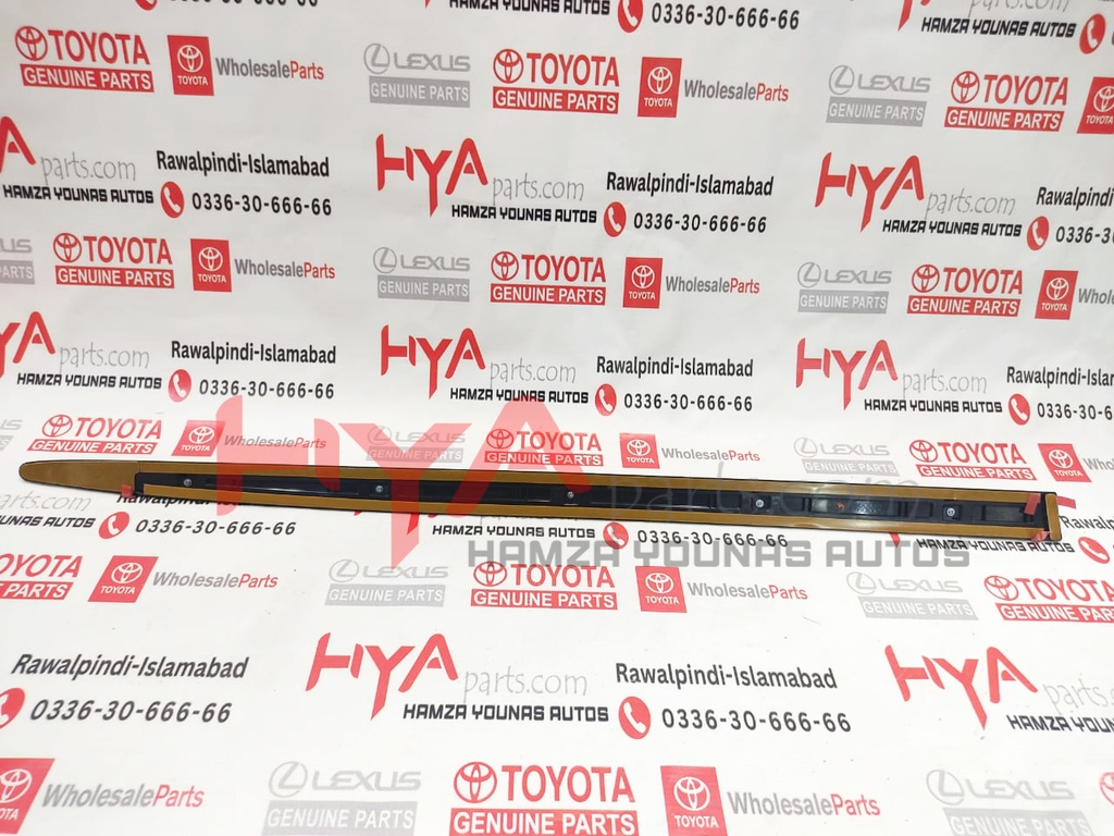 MOULDING, FR DOOR , RH LX 570