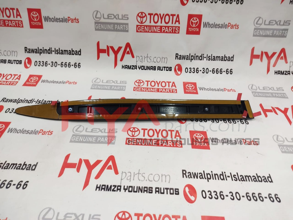 MOULDING, RR DOOR , RH LX 570