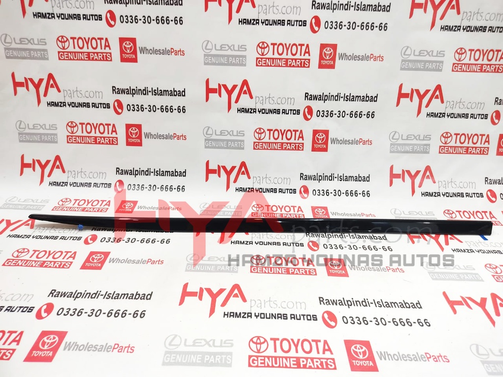 MOULDING, FR DOOR , LH LX 570