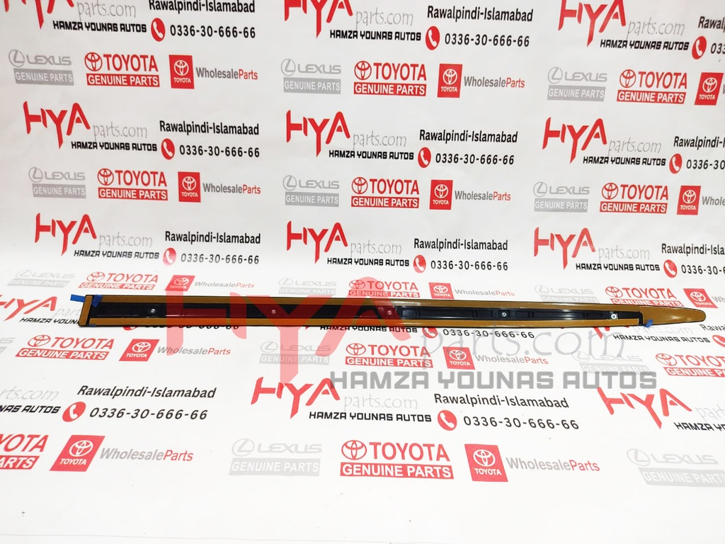 MOULDING, FR DOOR , LH LX 570