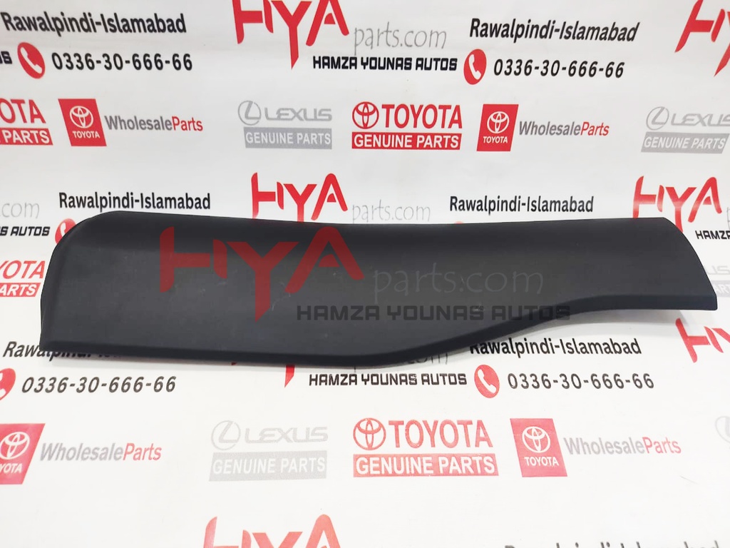 MOULDING SUB-ASSY, RR DOOR, OUTS LWR RH 