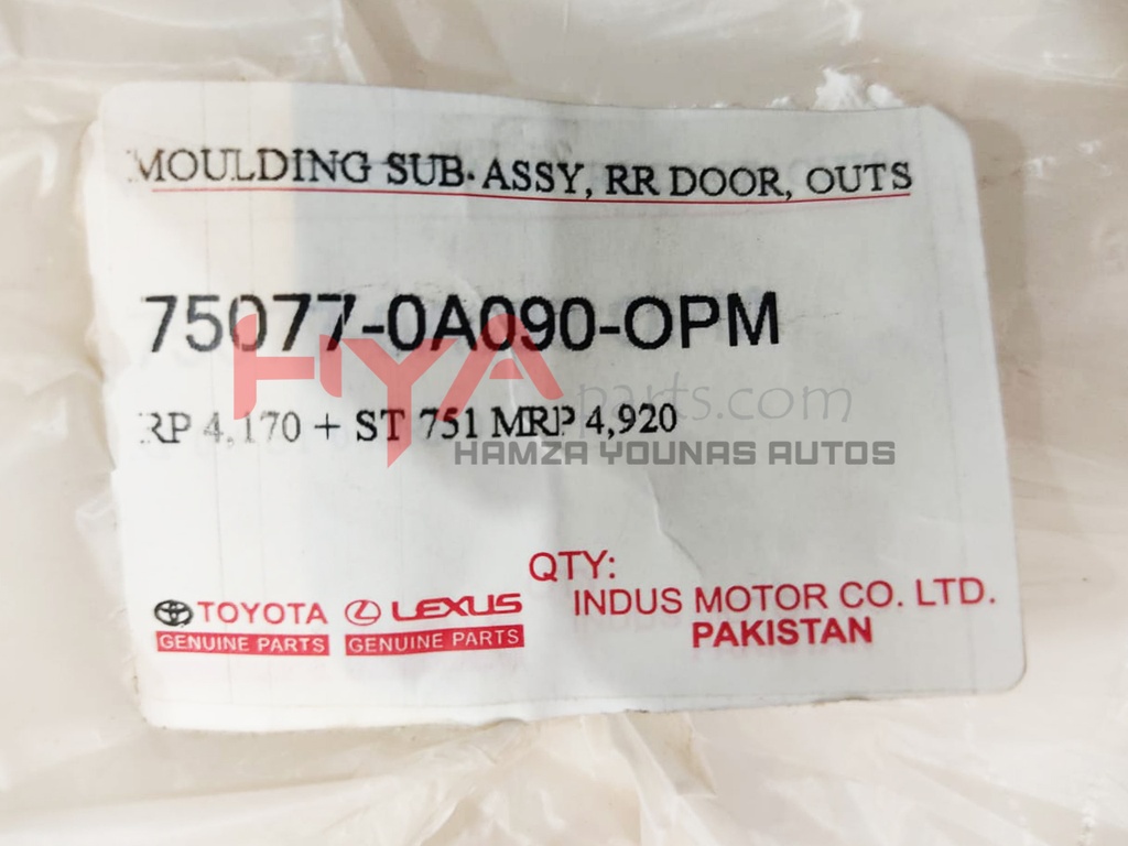 MOULDING SUB-ASSY, RR DOOR, OUTS LWR RH 