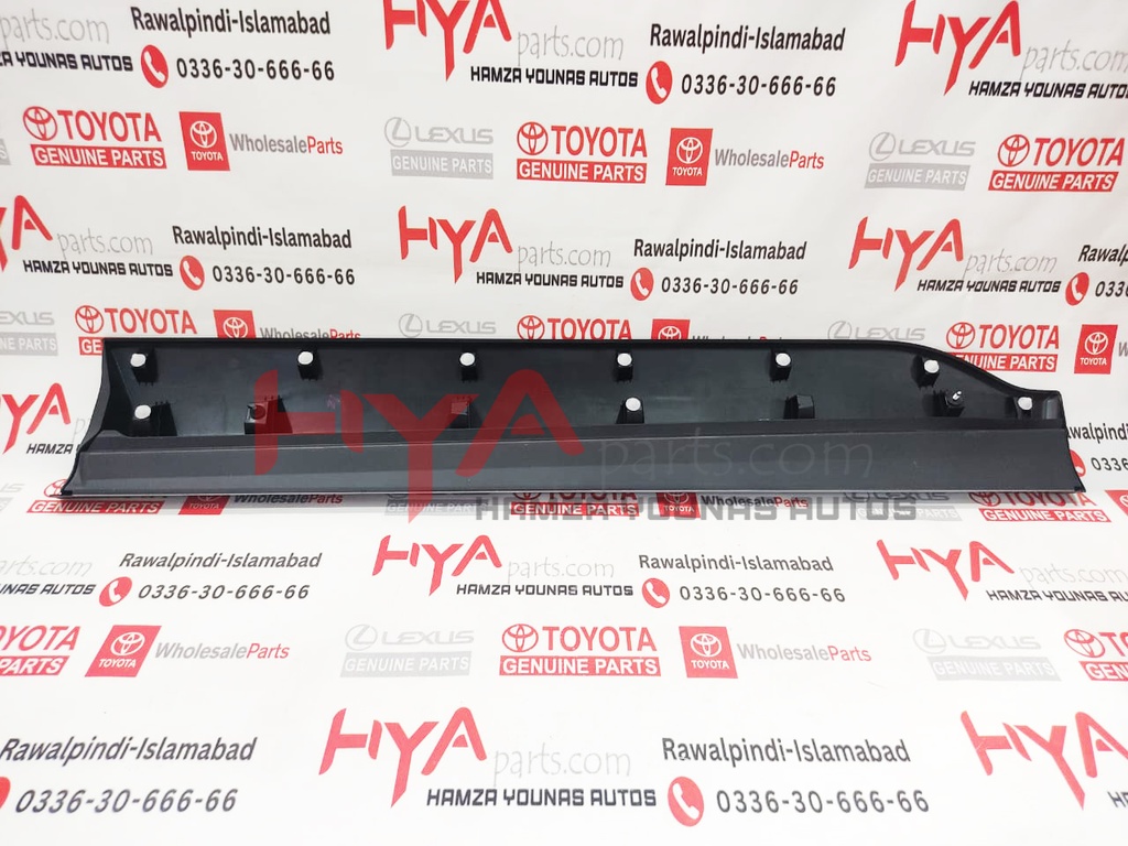 MOULDING SUB-ASSY, FR DOOR, OUTS LWR LH 