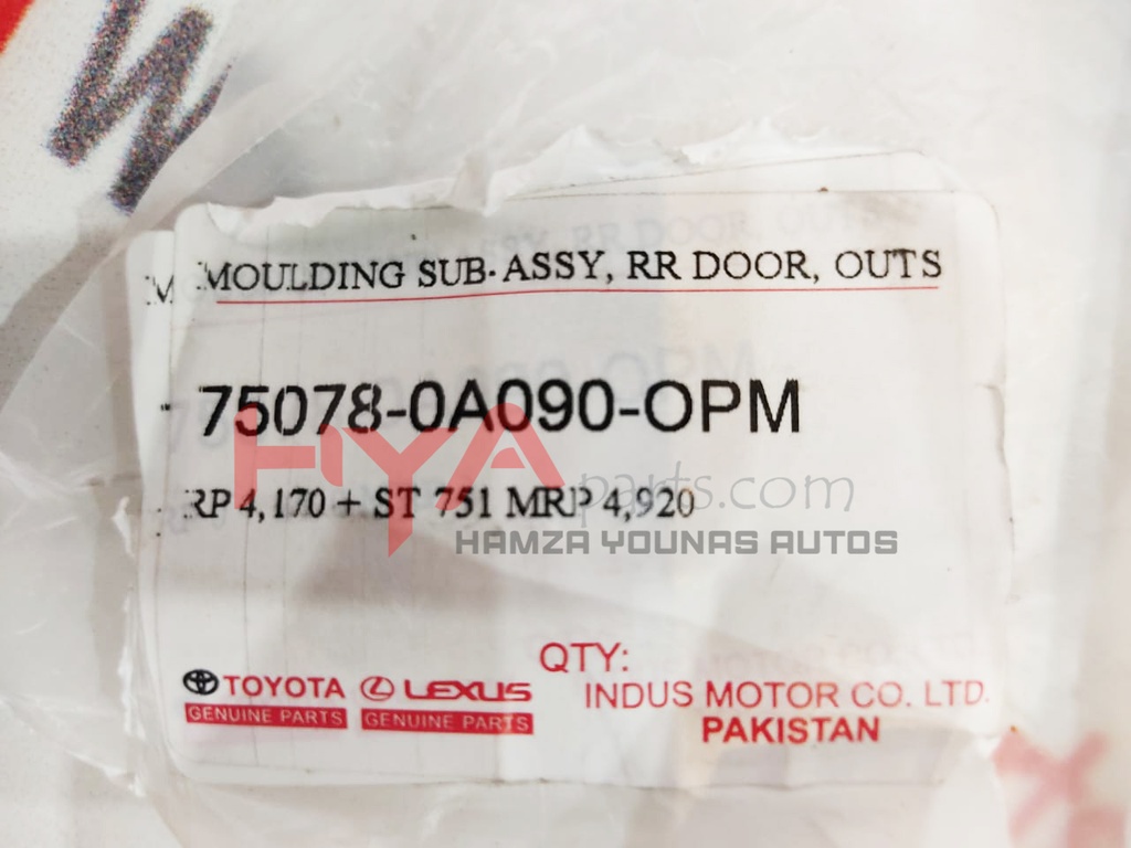 MOULDING SUB-ASSY, RR DOOR, OUTS LWR LH 