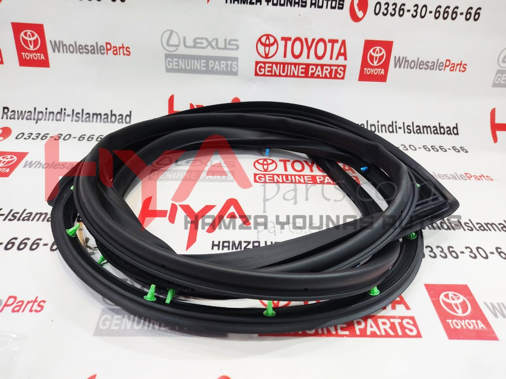 WEATHERSTRIP, REAR DOOR, RH