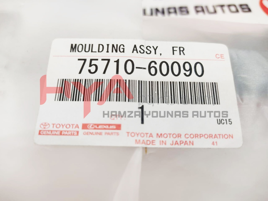 MOULDING ASSY, FRONT DOOR BELT, RH