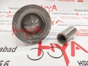 PISTON SUB-ASSY, W/PIN (SIZE : STD)