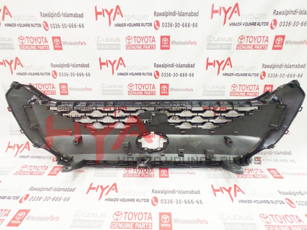 GRILLE ASSY, RADIATOR 