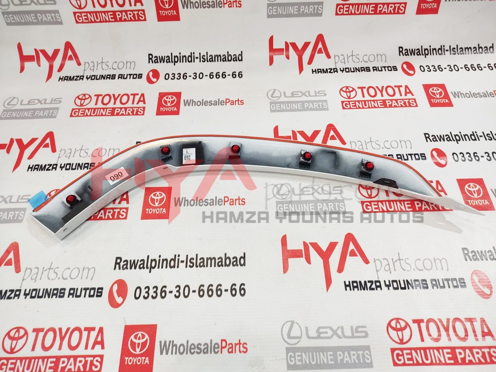 MOULDING SUB-ASSY, REAR DOOR OUTSIDE LOWER LH