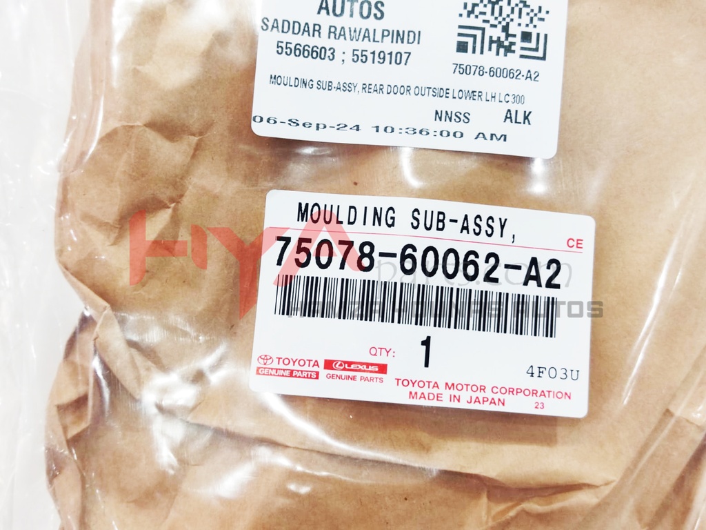 MOULDING SUB-ASSY, REAR DOOR OUTSIDE LOWER LH