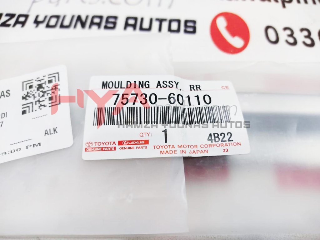 MOULDING ASSY, REAR DOOR BELT, RH