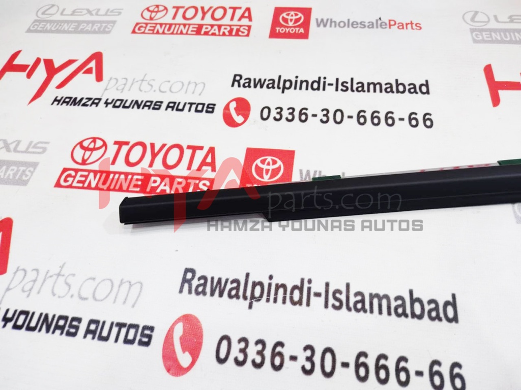 MOULDING ASSY, FRONT DOOR BELT, LH