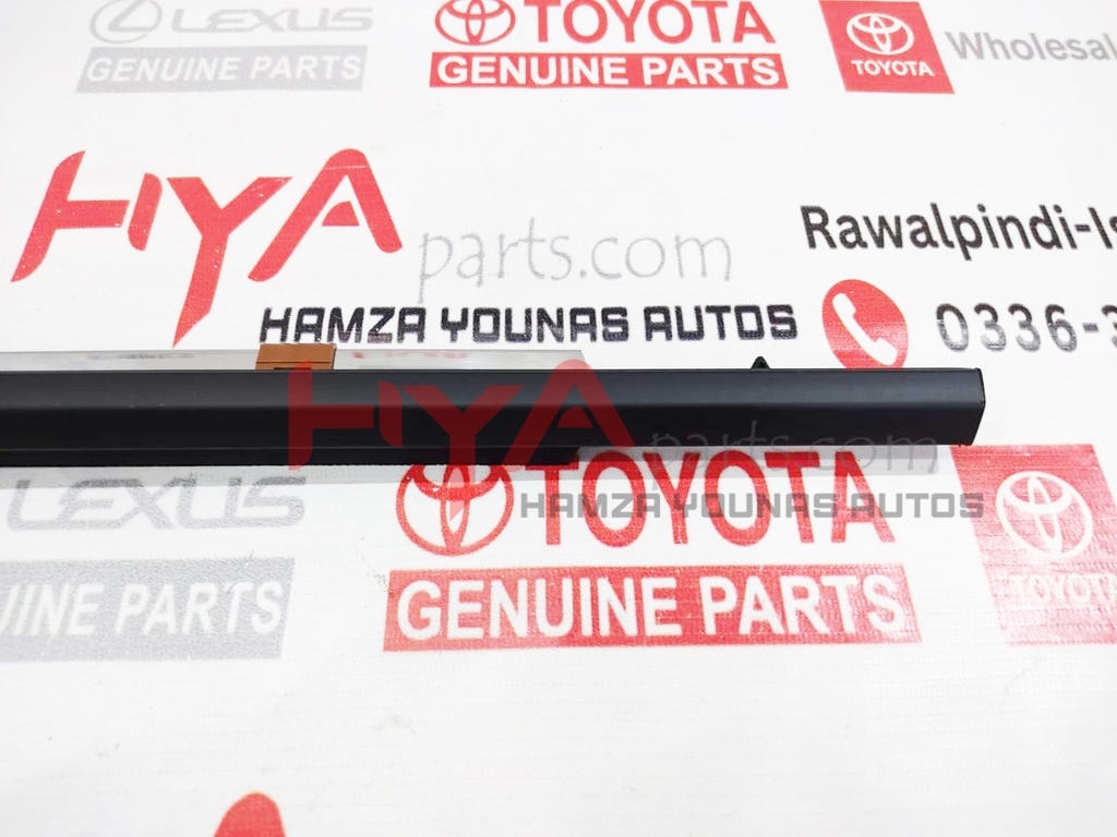 MOULDING ASSY, REAR DOOR BELT, LH