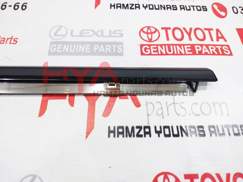 MOULDING ASSY, REAR DOOR BELT, LH