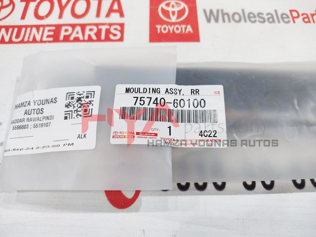 MOULDING ASSY, REAR DOOR BELT, LH